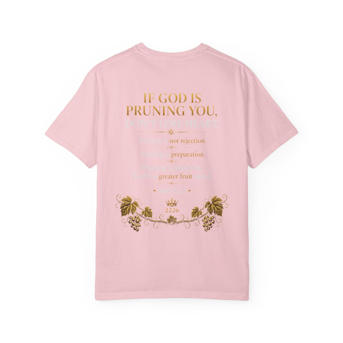 Speak Life Christian T-Shirt — Joy Hope Healing Scripture Tee