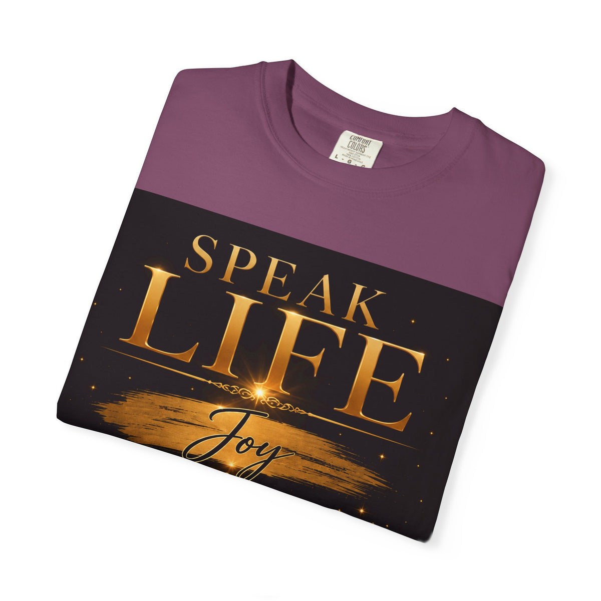 Speak Life Christian T-Shirt — Joy Hope Healing Scripture Tee